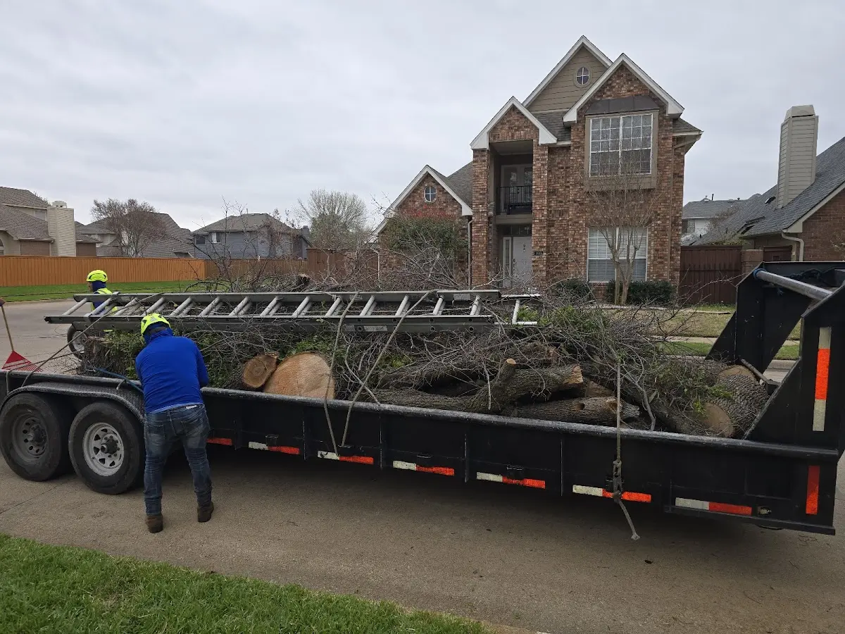 Expert Tree Fertilization with proper safety equipment in Martville